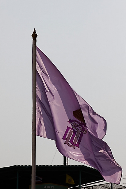 Nouvel an chinois 2011-028